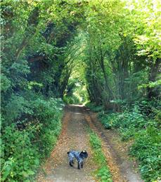 New public footpath update