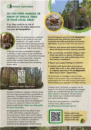 Invasive Spruce Bark Beetle Awareness